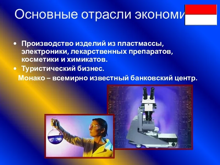 Основные отрасли экономики: Производство изделий из пластмассы, электроники, лекарственных препаратов,