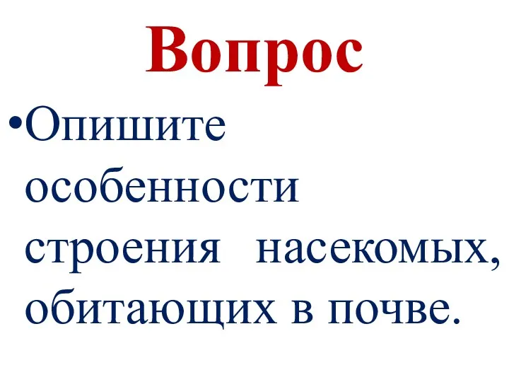 Вопрос Опишите особенности строения насекомых, обитающих в почве.