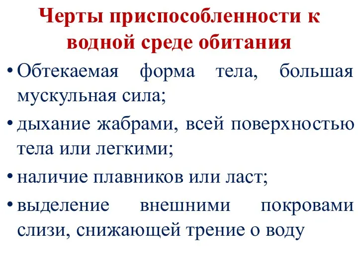 Черты приспособленности к водной среде обитания Обтекаемая форма тела, большая