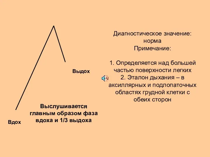 Диагностическое значение: норма Примечание: 1. Определяется над большей частью поверхности