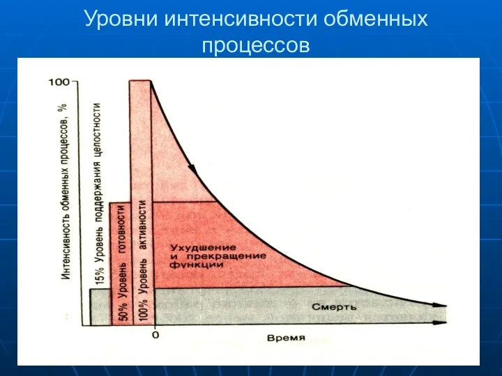 Уровни интенсивности обменных процессов