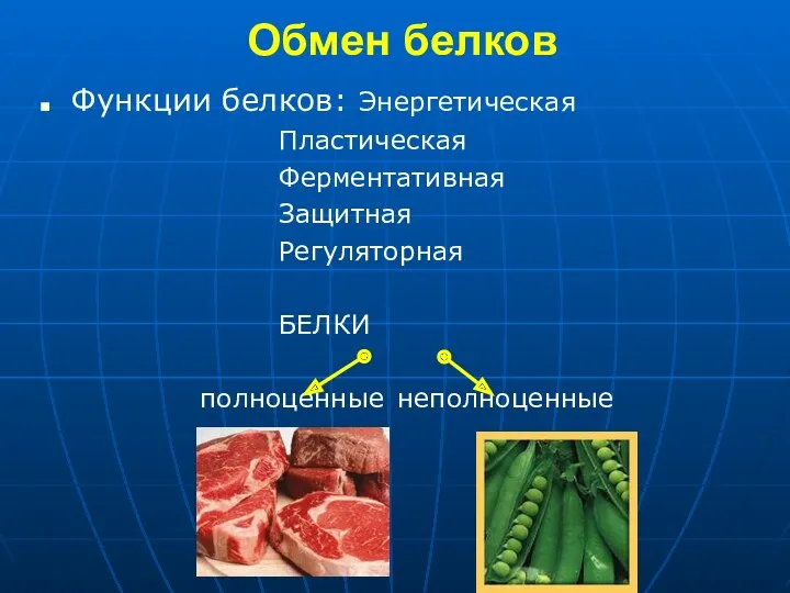 Обмен белков Функции белков: Энергетическая Пластическая Ферментативная Защитная Регуляторная БЕЛКИ полноценные неполноценные