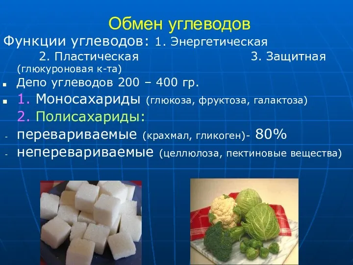 Обмен углеводов Функции углеводов: 1. Энергетическая 2. Пластическая 3. Защитная