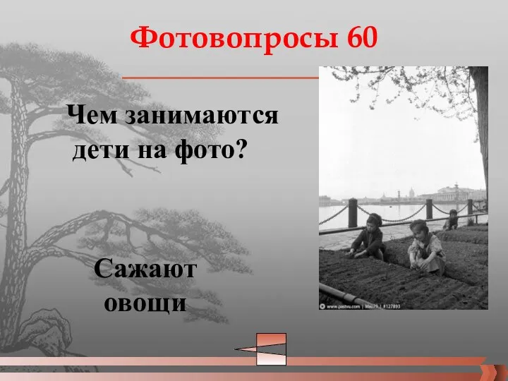 Фотовопросы 60 Чем занимаются дети на фото? Сажают овощи