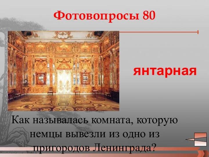 Фотовопросы 80 Как называлась комната, которую немцы вывезли из одно из пригородов Ленинграда? янтарная