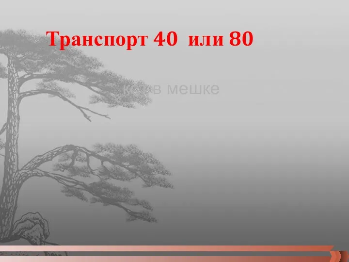 кот в мешке Транспорт 40 или 80