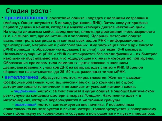 превителлогенез: подготовка ооцита I порядка к делениям созревания (мейозу). Ооцит