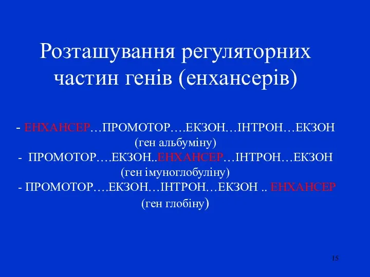 Розташування регуляторних частин генів (енхансерів) - ЕНХАНСЕР…ПРОМОТОР….ЕКЗОН…ІНТРОН…ЕКЗОН (ген альбуміну) -