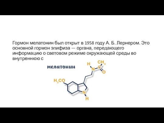 Гормон мелатонин был открыт в 1958 году А. Б. Лернером.