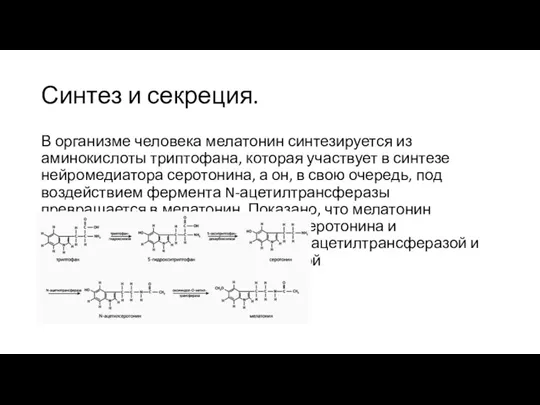 Синтез и секреция. В организме человека мелатонин синтезируется из аминокислоты