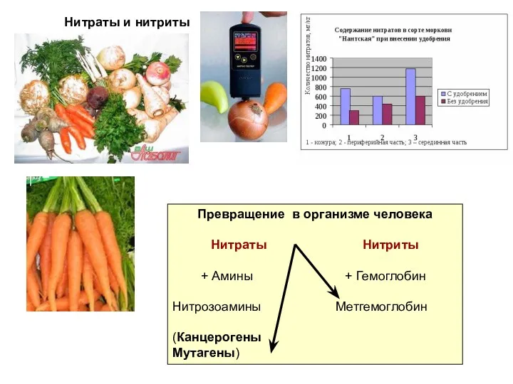 Нитраты и нитриты Превращение в организме человека Нитраты Нитриты +