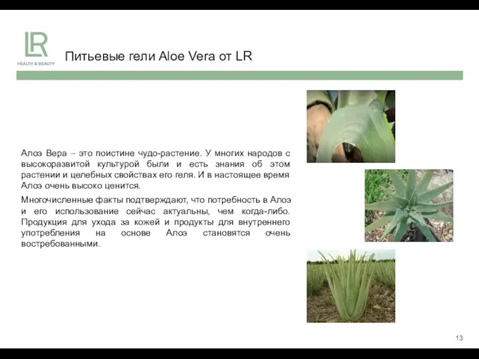 Питьевые гели Aloe Vera от LR Алоэ Вера – это поистине чудо-растение. У