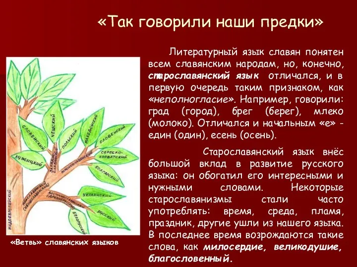 «Так говорили наши предки» Литературный язык славян понятен всем славянским