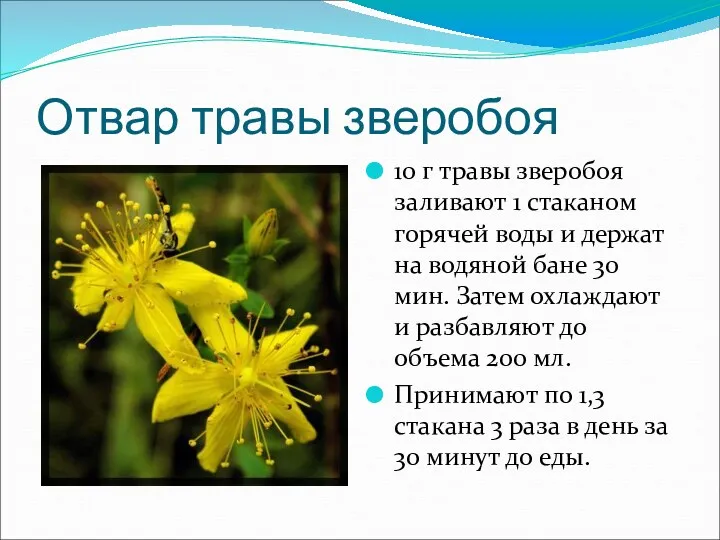 Отвар травы зверобоя 10 г травы зверобоя заливают 1 стаканом