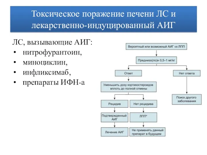 Токсическое поражение печени ЛС и лекарственно-индуцированный АИГ ЛС, вызывающие АИГ: нитрофурантоин, миноциклин, инфликсимаб, препараты ИФН-а