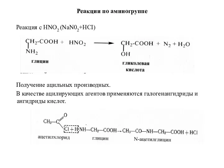 Реакции по аминогруппе Реакция с HNO2 (NaN02+HCI) Получение ацильных производных.