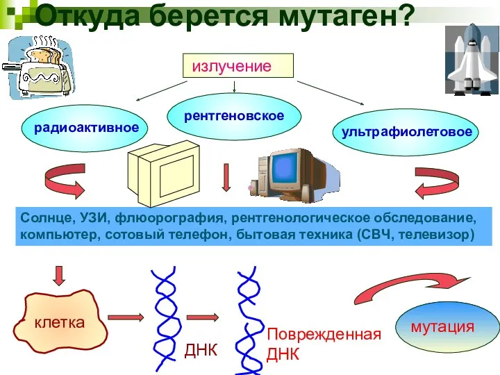 Откуда берется мутаген? излучение радиоактивное рентгеновское ультрафиолетовое Солнце, УЗИ, флюорография,