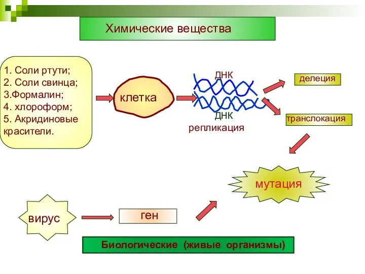 Химические вещества 1. Соли ртути; 2. Соли свинца; 3.Формалин; 4.