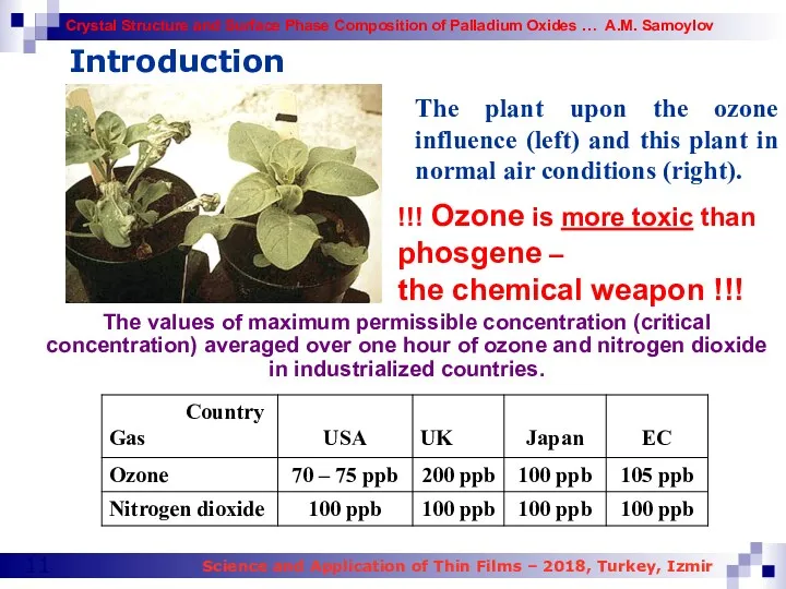 Introduction The plant upon the ozone influence (left) and this