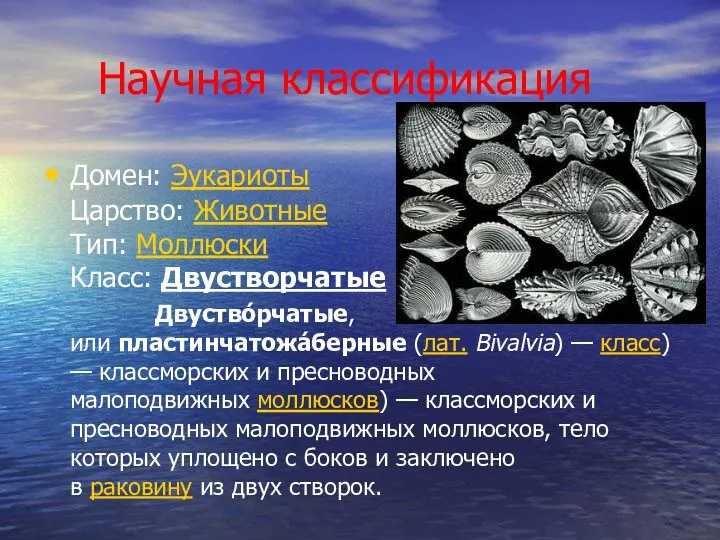 Научная классификация Домен: Эукариоты Царство: Животные Тип: Моллюски Класс: Двустворчатые