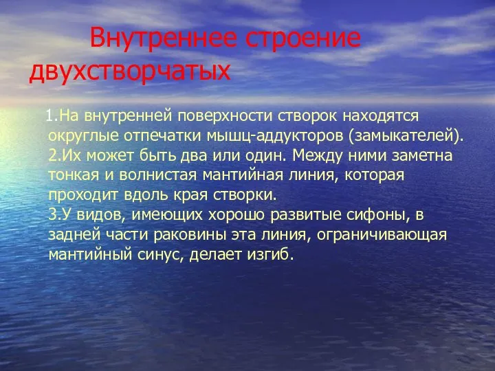 Внутреннее строение двухстворчатых 1.На внутренней поверхности створок находятся округлые отпечатки