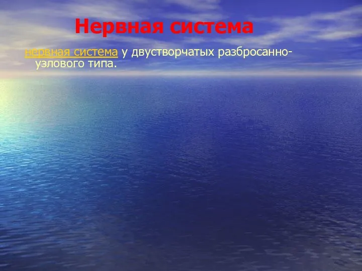 Нервная система нервная система у двустворчатых разбросанно-узлового типа.