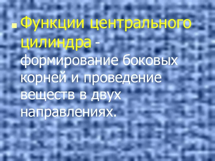 Функции центрального цилиндра - формирование боковых корней и проведение веществ в двух направлениях.