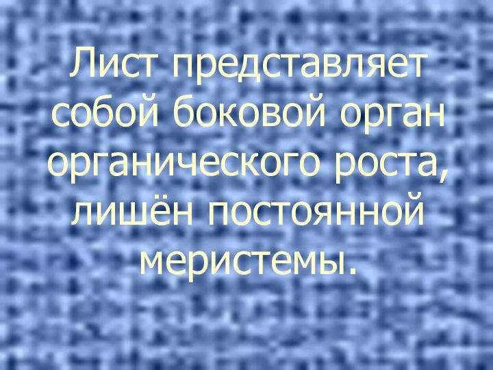 Лист представляет собой боковой орган органического роста, лишён постоянной меристемы.