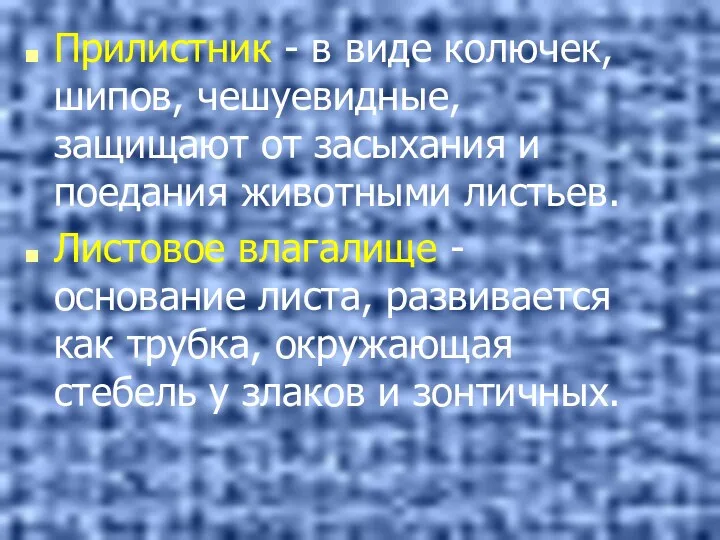 Прилистник - в виде колючек, шипов, чешуевидные, защищают от засыхания