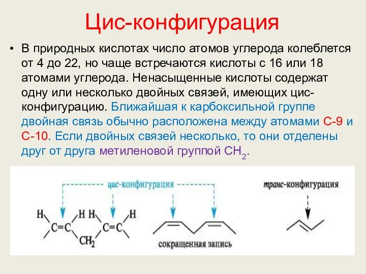 Цис-конфигурация В природных кислотах число атомов углерода колеблется от 4