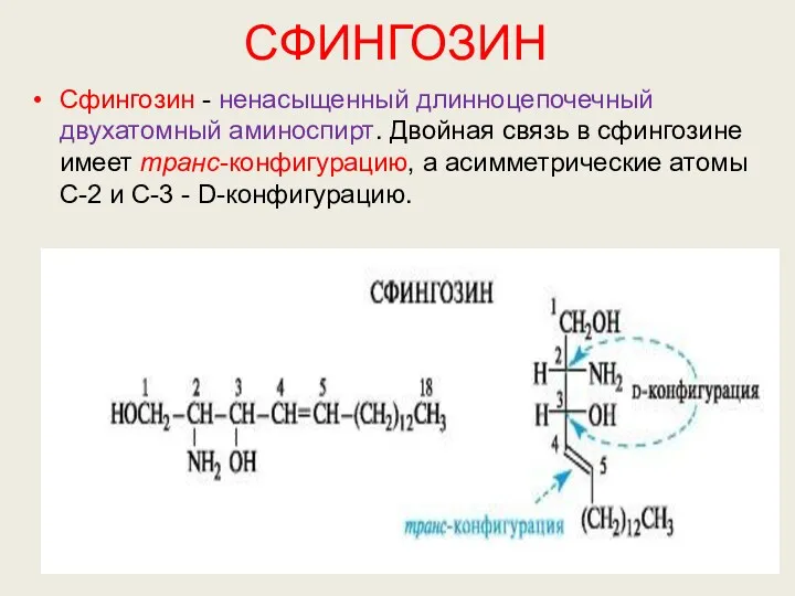 СФИНГОЗИН Сфингозин - ненасыщенный длинноцепочечный двухатомный аминоспирт. Двойная связь в