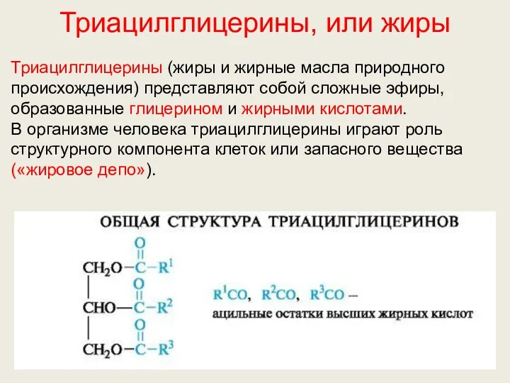 Триацилглицерины, или жиры Триацилглицерины (жиры и жирные масла природного происхождения)