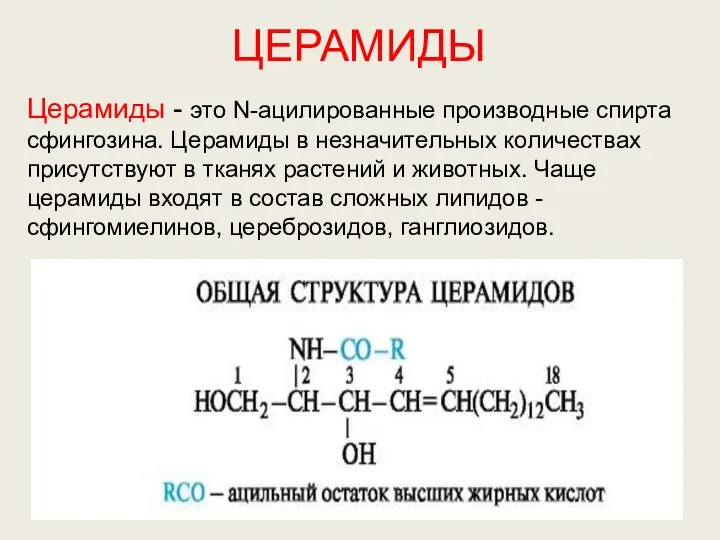 ЦЕРАМИДЫ Церамиды - это N-ацилированные производные спирта сфингозина. Церамиды в