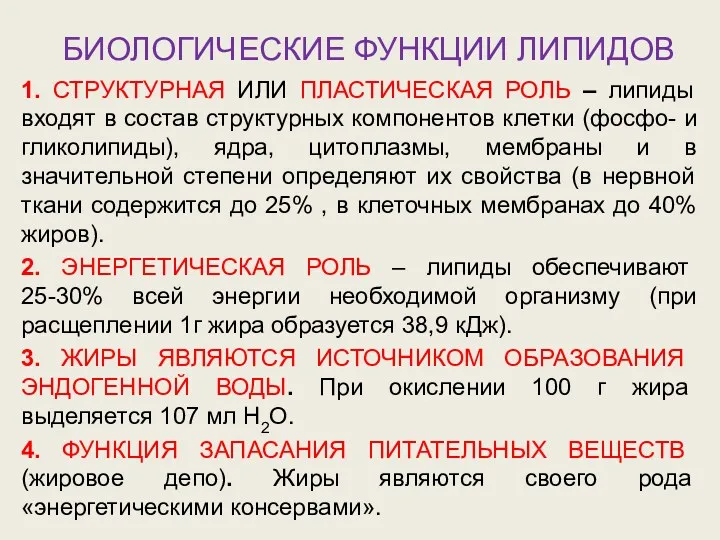 БИОЛОГИЧЕСКИЕ ФУНКЦИИ ЛИПИДОВ 1. СТРУКТУРНАЯ ИЛИ ПЛАСТИЧЕСКАЯ РОЛЬ – липиды