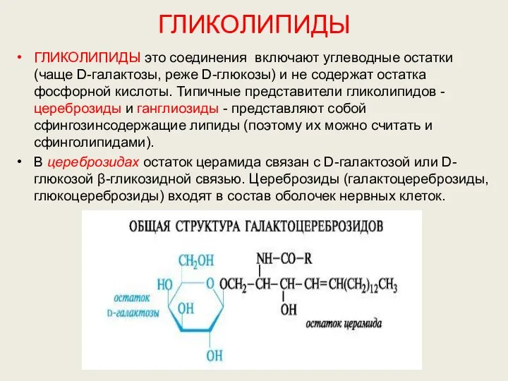 ГЛИКОЛИПИДЫ ГЛИКОЛИПИДЫ это соединения включают углеводные остатки (чаще D-галактозы, реже