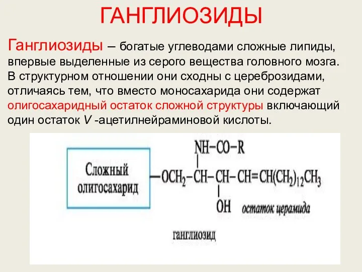 ГАНГЛИОЗИДЫ Ганглиозиды – богатые углеводами сложные липиды, впервые выделенные из