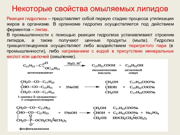 Некоторые свойства омыляемых липидов Реакция гидролиза – представляет собой первую