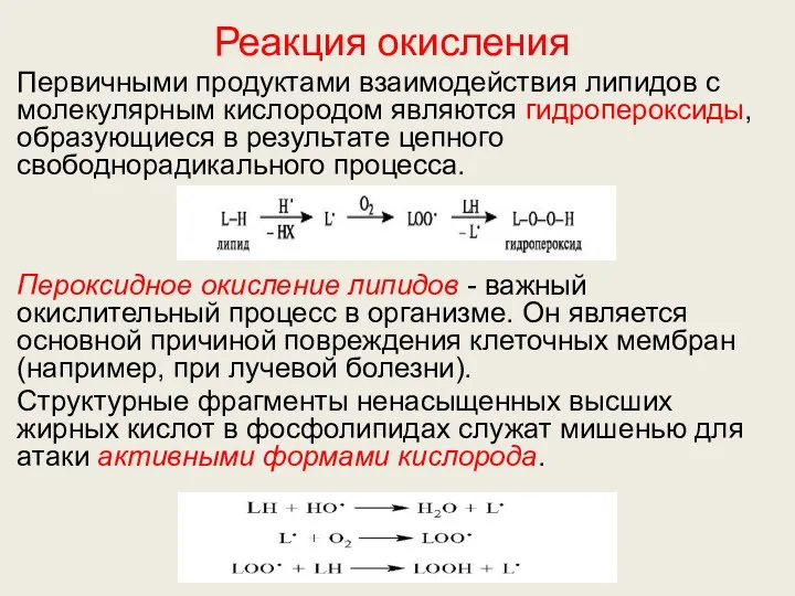 Реакция окисления Первичными продуктами взаимодействия липидов с молекулярным кислородом являются