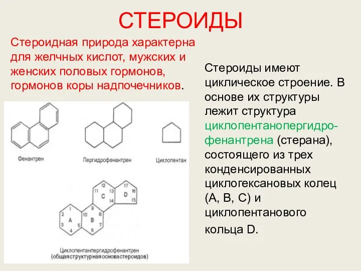 СТЕРОИДЫ Стероиды имеют циклическое строение. В основе их структуры лежит