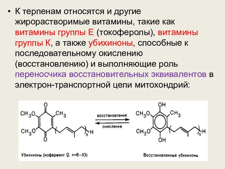 К терпенам относятся и другие жирорастворимые витамины, такие как витамины