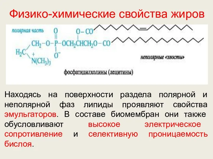 Физико-химические свойства жиров Находясь на поверхности раздела полярной и неполярной