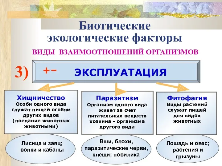 Биотические экологические факторы ВИДЫ ВЗАИМООТНОШЕНИЙ ОРГАНИЗМОВ 3) ЭКСПЛУАТАЦИЯ +– Хищничество