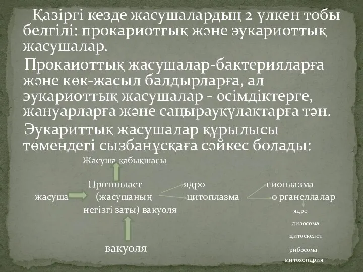 Қазіргі кезде жасушалардың 2 үлкен тобы белгілі: прокариотгық және эукариоттық