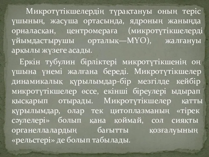 Микротүтікшелердің түрақтануы оның теріс үшының, жасуша ортасында, ядроның жаныңда орналасқан,