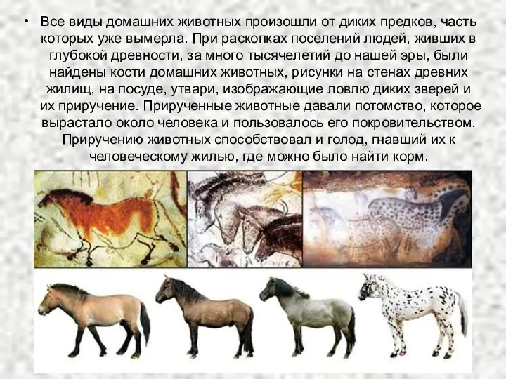 Все виды домашних животных произошли от диких предков, часть которых