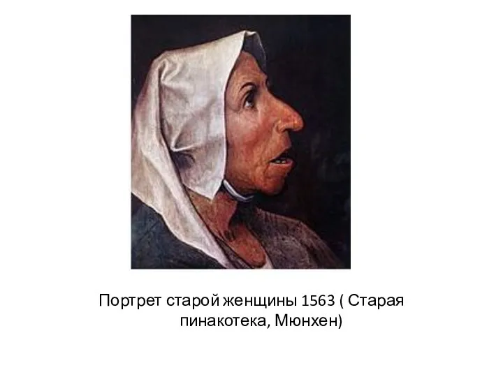 Портрет старой женщины 1563 ( Старая пинакотека, Мюнхен)