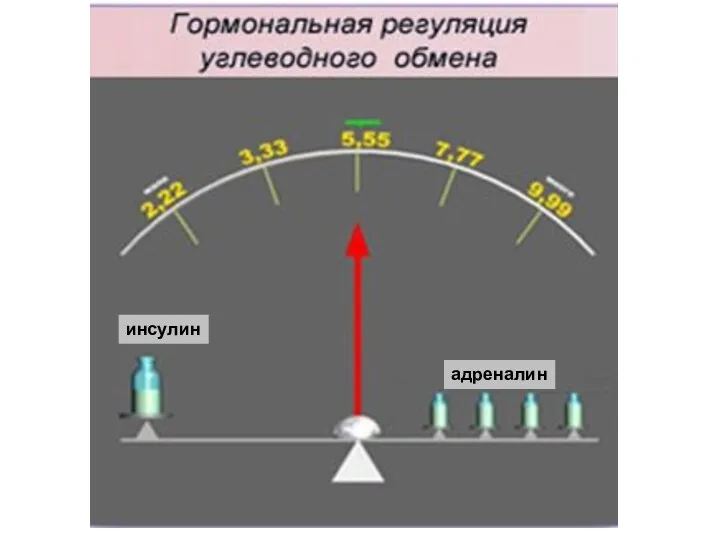 инсулин адреналин