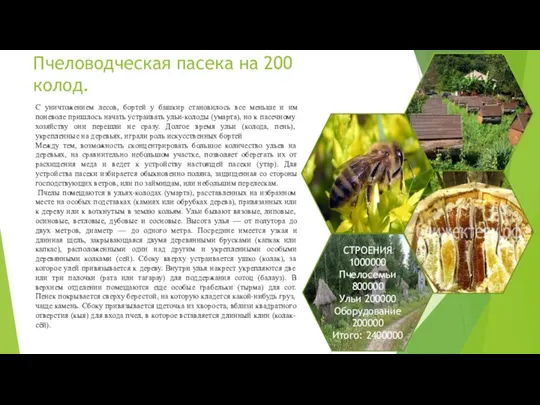 Пчеловодческая пасека на 200 колод. СТРОЕНИЯ 1000000 Пчелосемьи 800000 Ульи