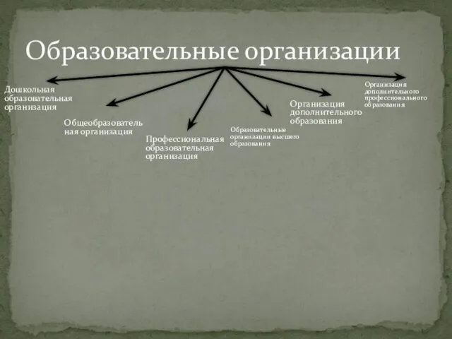 Образовательные организации Дошкольная образовательная организация Общеобразовательная организация Профессиональная образовательная организация