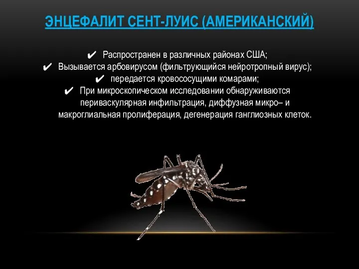 ЭНЦЕФАЛИТ СЕНТ-ЛУИС (АМЕРИКАНСКИЙ) Распространен в различных районах США; Вызывается арбовирусом